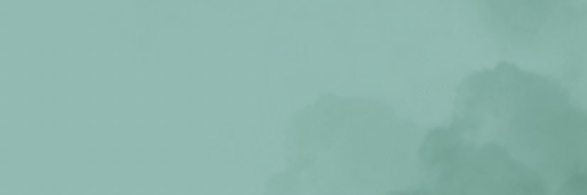 Emilio banner