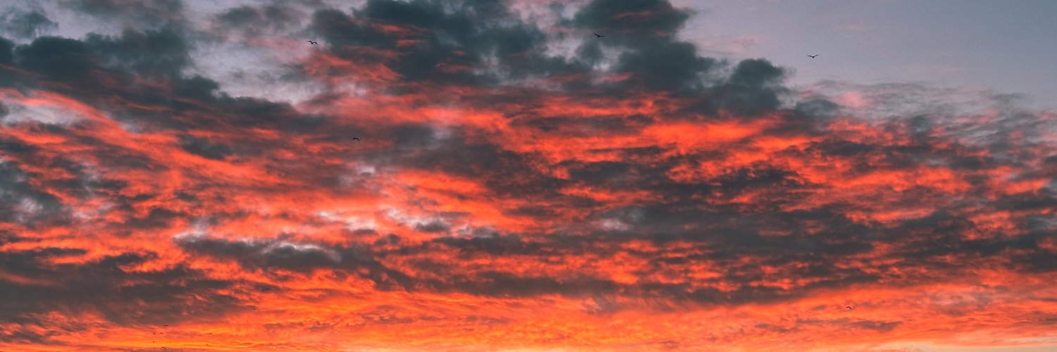JamesyGalbraith's profile banner image