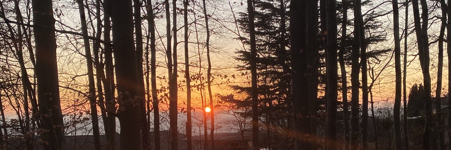 Samipii's profile banner image