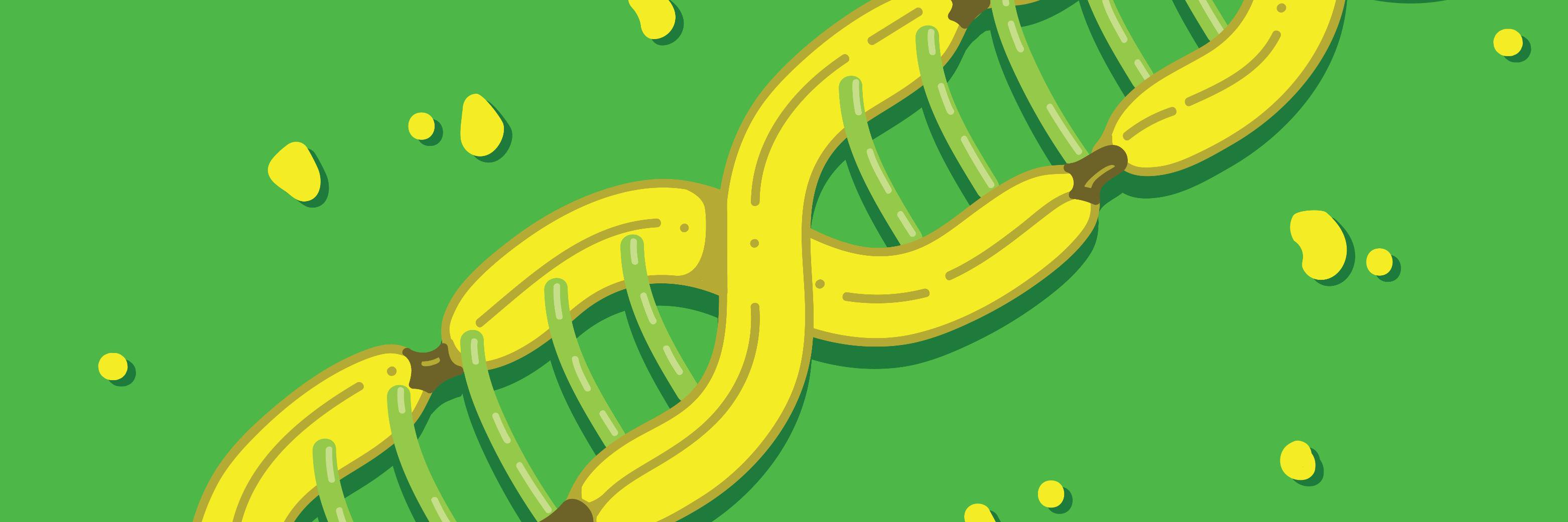 kn3z's profile banner image