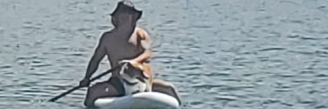 Derek Dervinis banner