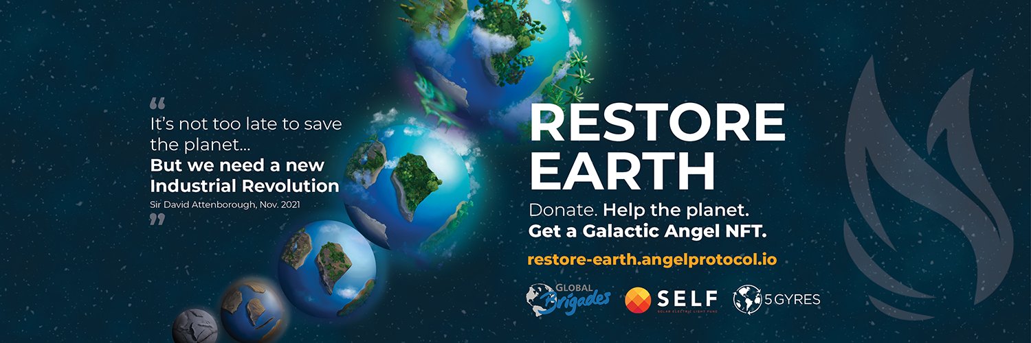 CryptoMaxi 🌑 banner