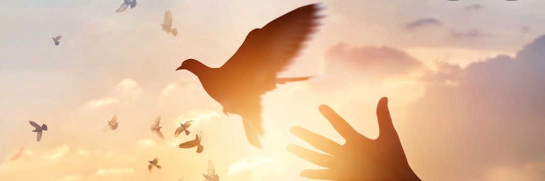 Tu_movilnet's profile banner image
