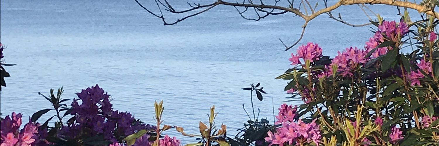 Mollkos's profile banner image
