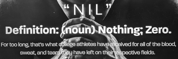 NilPartners Profile Banner