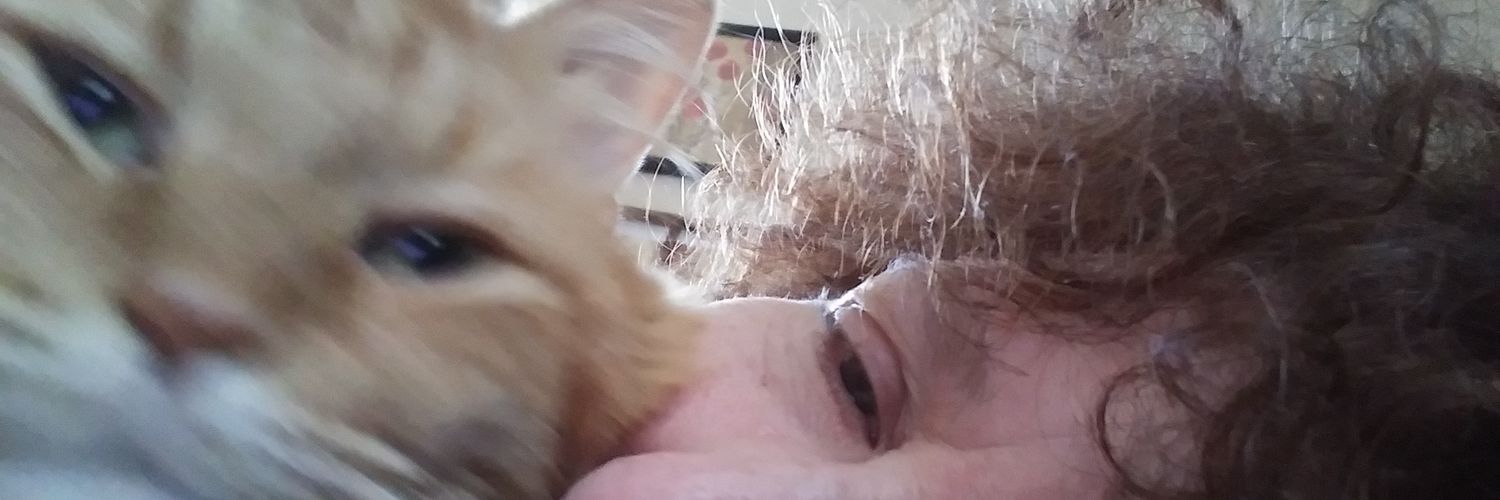 BarbaraRuth9's profile banner image