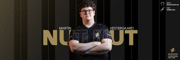 nutnutCSGO Profile Banner