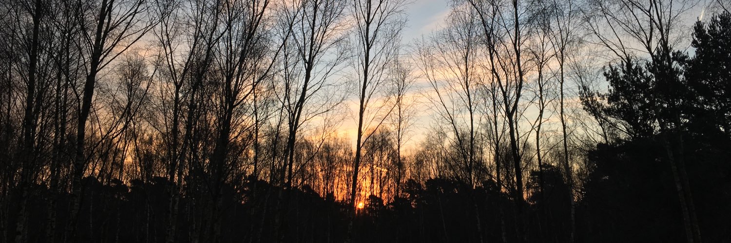 RobAndrews71's profile banner image