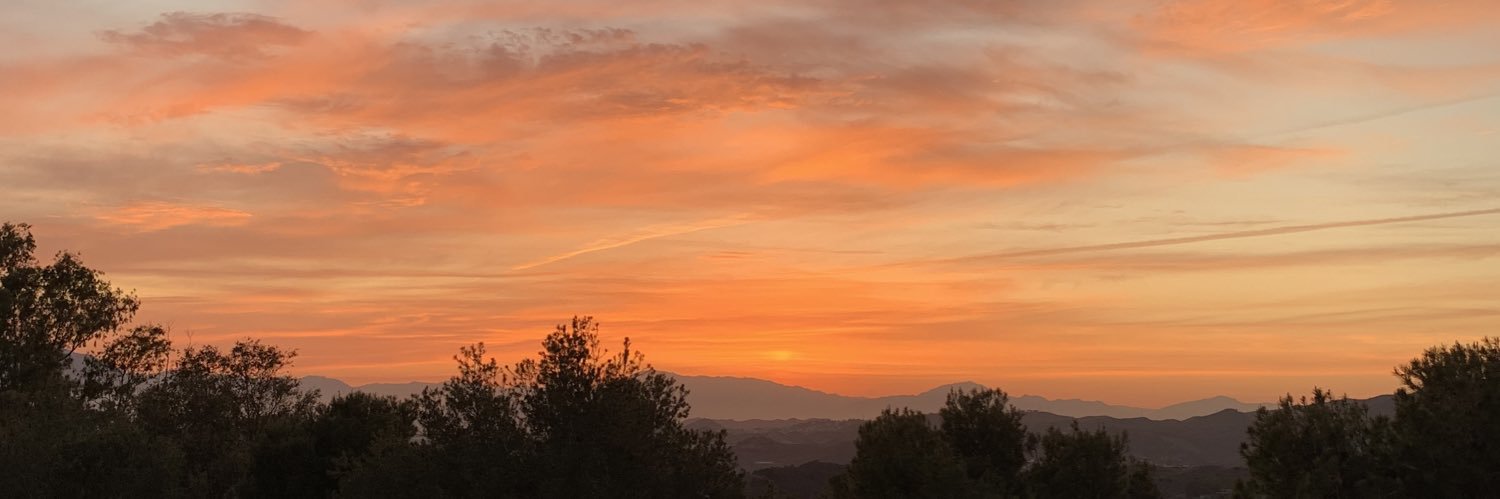 MayariLentz's profile banner image