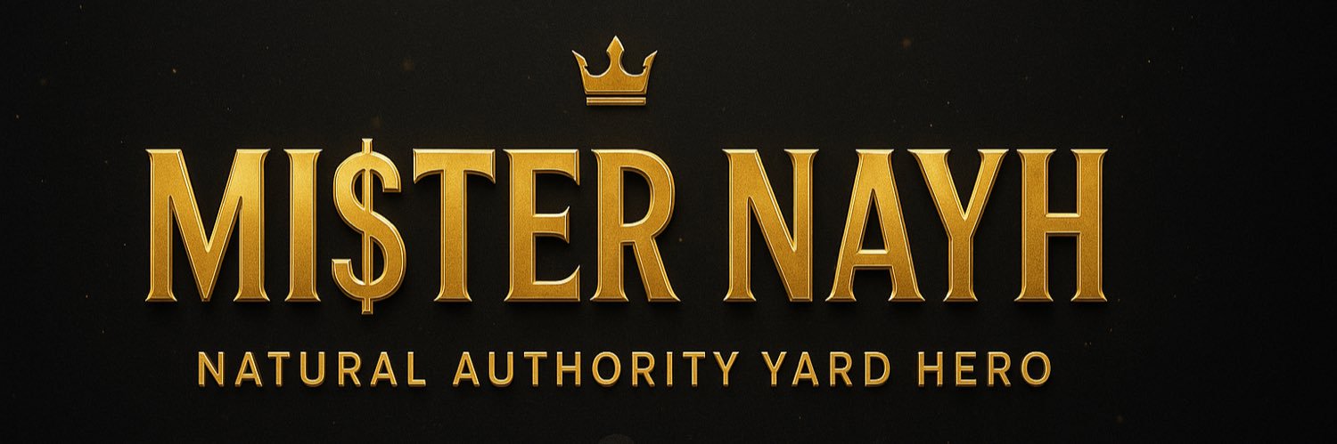 Mister N A Y H banner