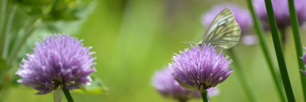 ScienceGeek1313 Profile Banner