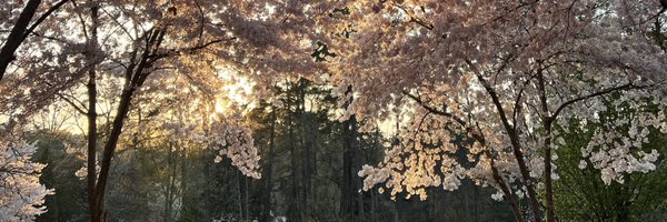 SunJimenez18 Profile Banner