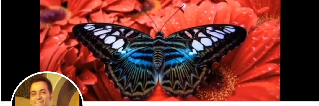 Heartkadr's profile banner image