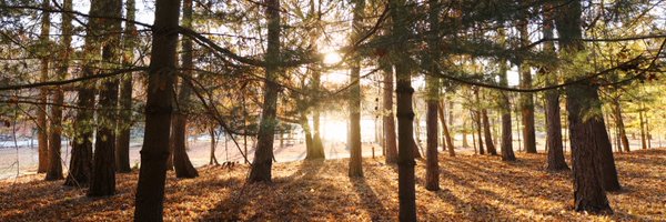 scottwyden Profile Banner