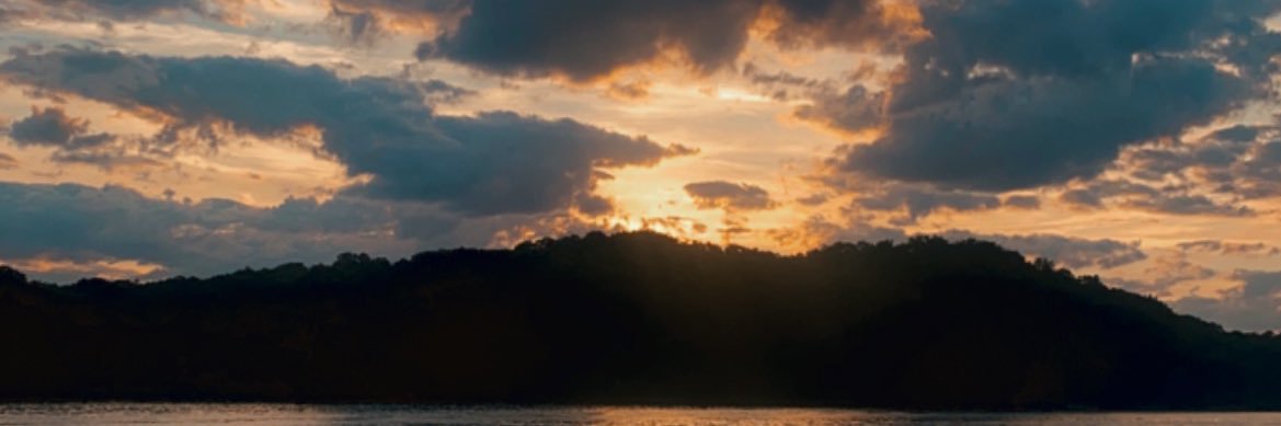 macey_dixon's profile banner image