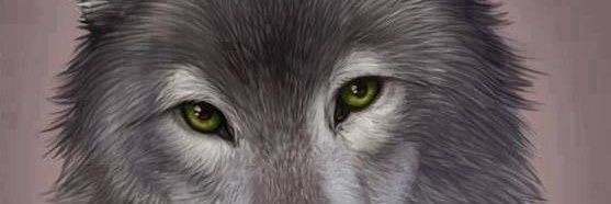 MATEO 11🐺 banner