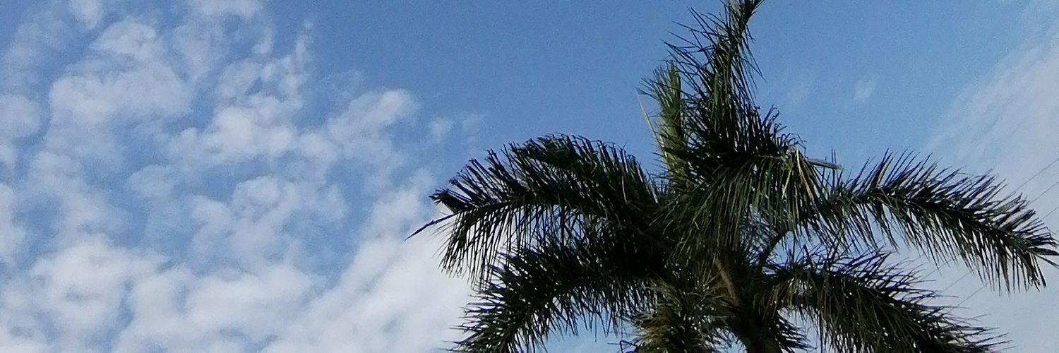 squareher's profile banner image