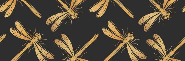 DragonFly706706's profile banner image