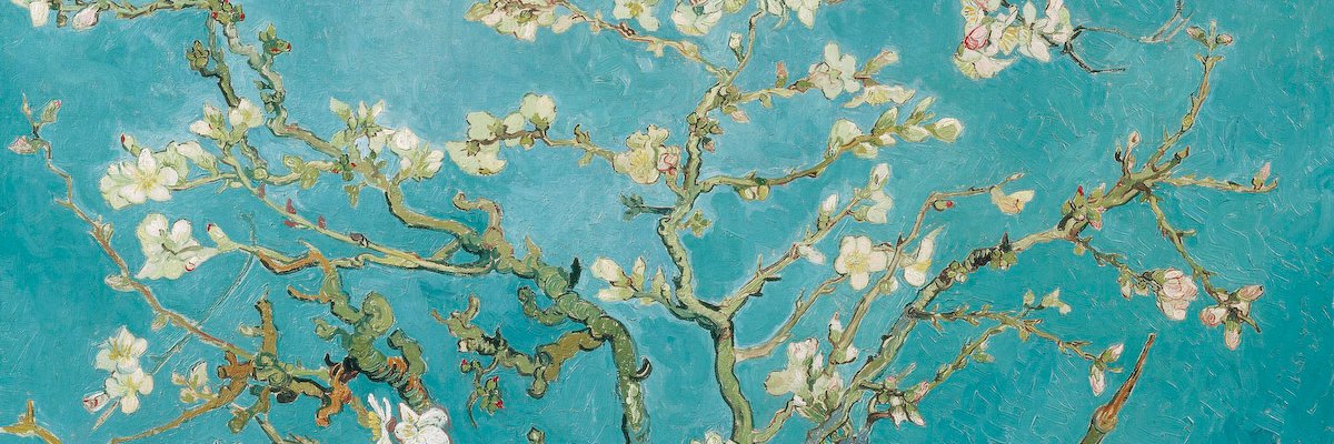 Ivana E. Morales banner