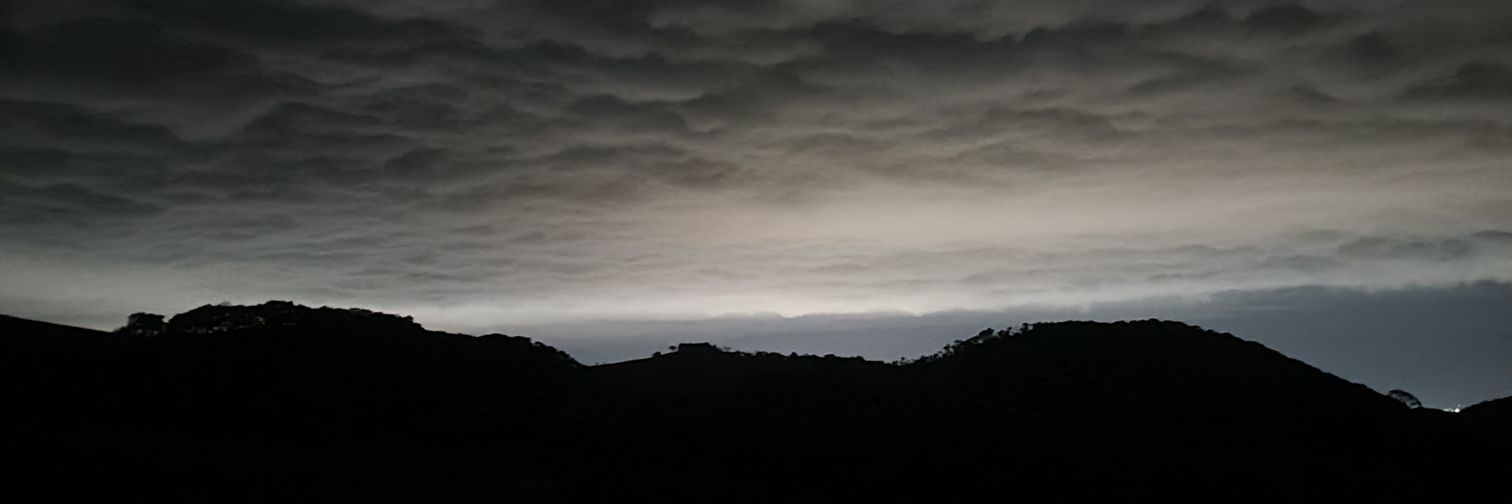 pedro_a's profile banner image