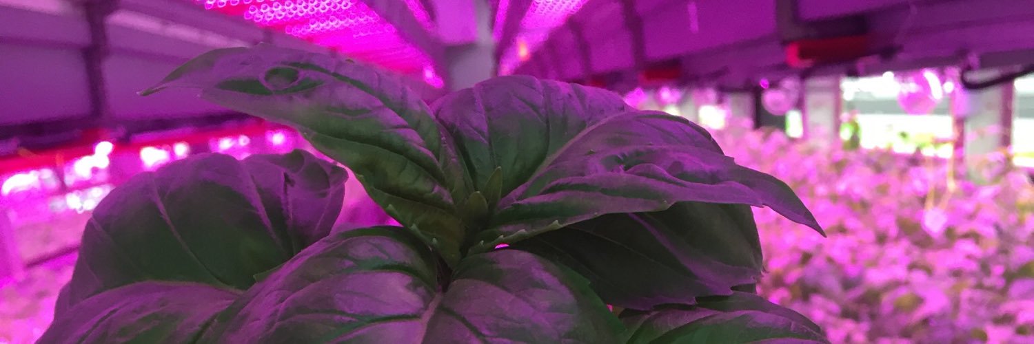 ezholdsitdown's profile banner image