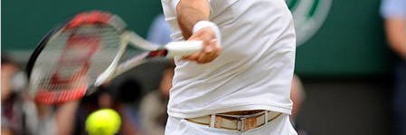 SportAddict 🎾🎱⚽️🥊🐓 banner