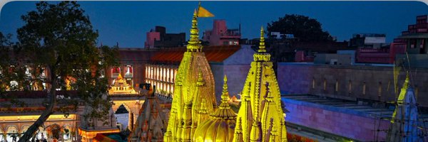 rain_views Profile Banner