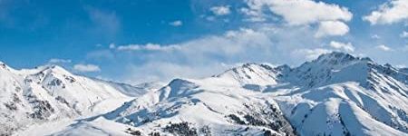 Meta-Mórfica🦋 banner