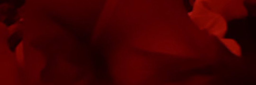 the_pretty21's profile banner image