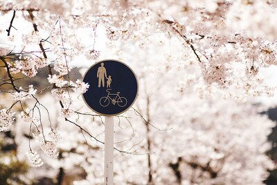 chungho8's profile banner image