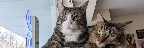 monisousa93 Profile Banner