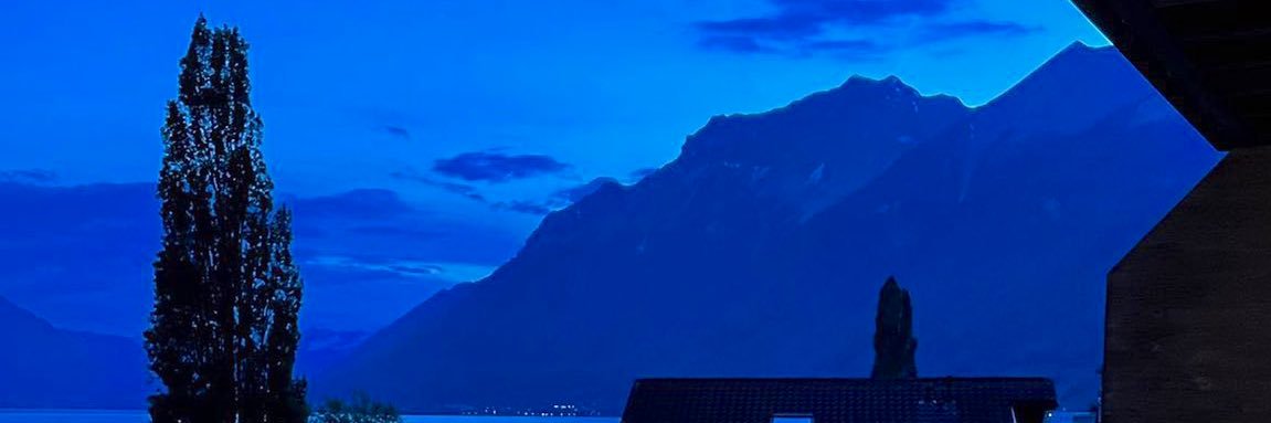 IARAMM19's profile banner image