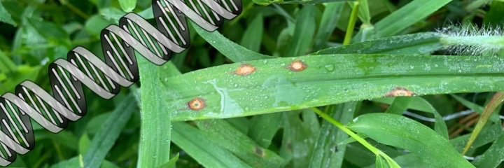 Molecular Plant Pathology banner