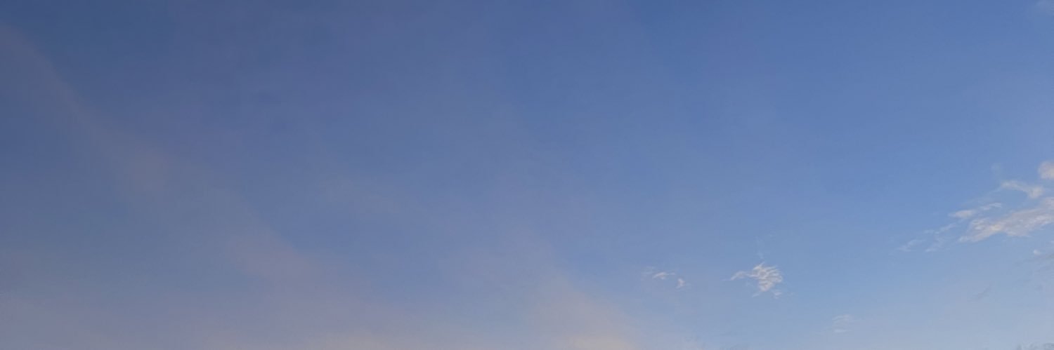 _christellepine's profile banner image