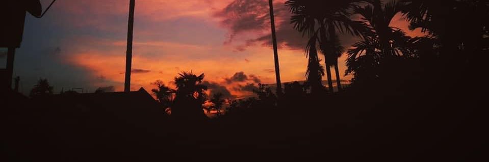 Ed Vesga banner