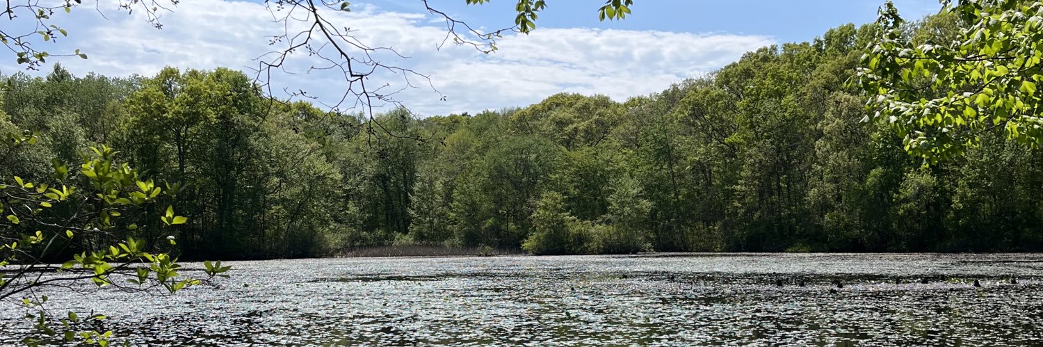 Amelia Sugerman banner