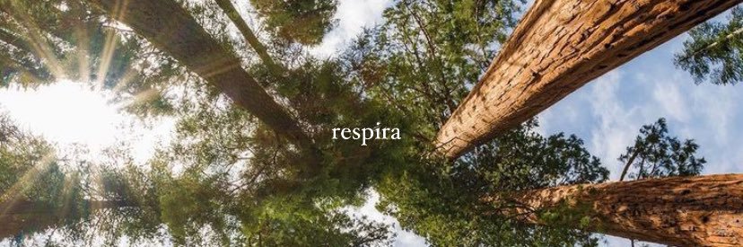 nataliafss_'s profile banner image