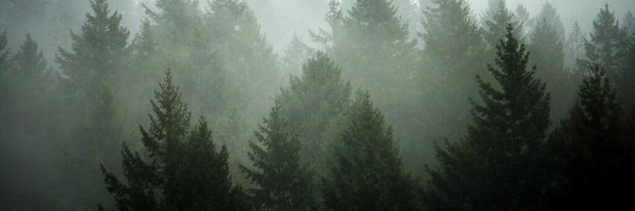 T58193's profile banner image