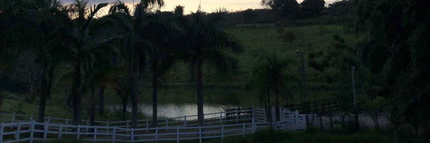 MorangoDoPai's profile banner image