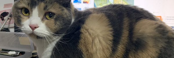 verananathorn Profile Banner