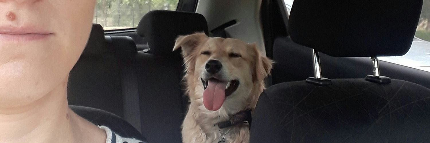 debbidooda's profile banner image