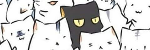 yudamid's profile banner image