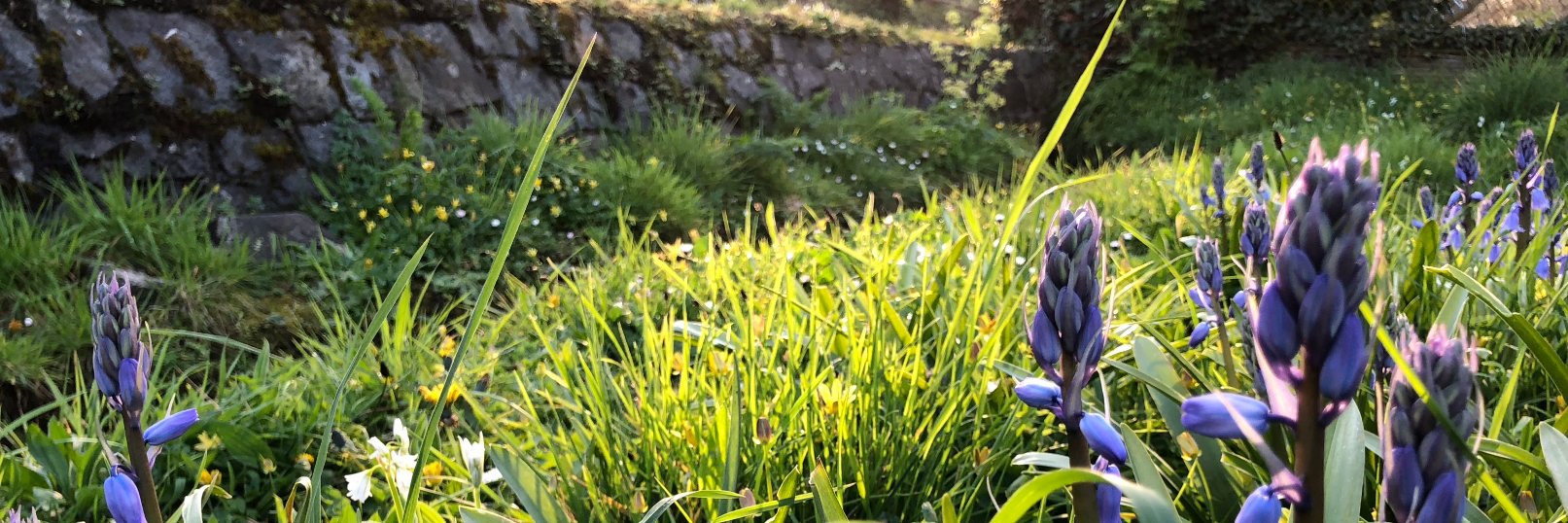 Chemmy's profile banner image