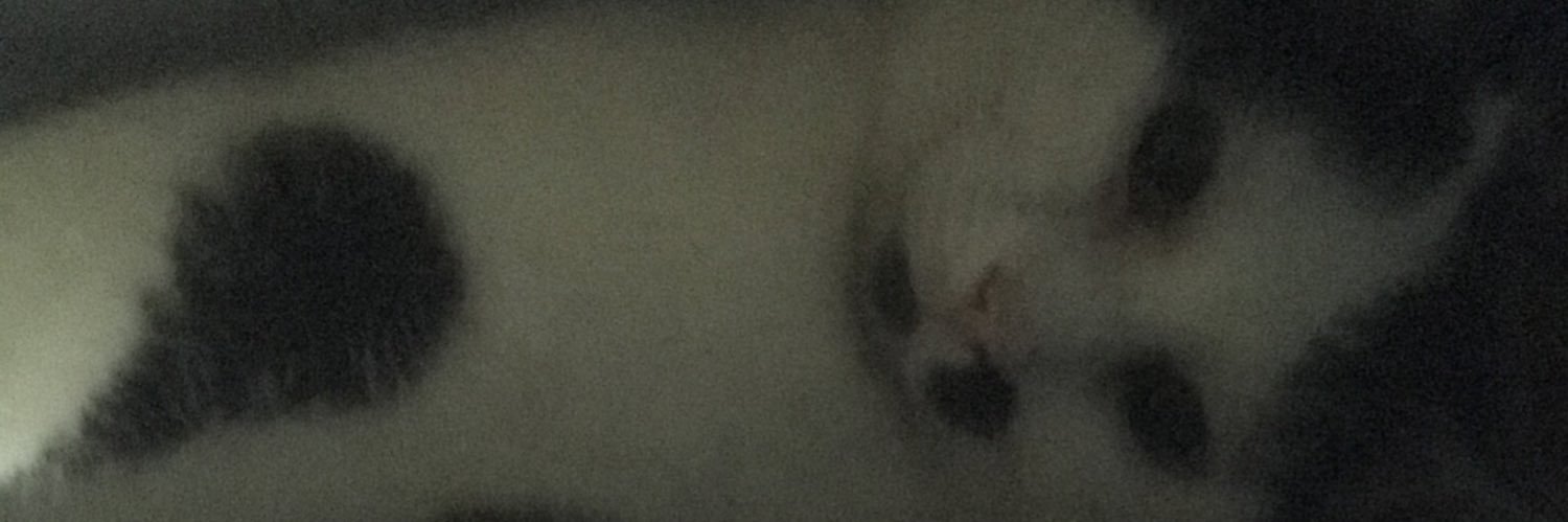 Clem18570's profile banner image