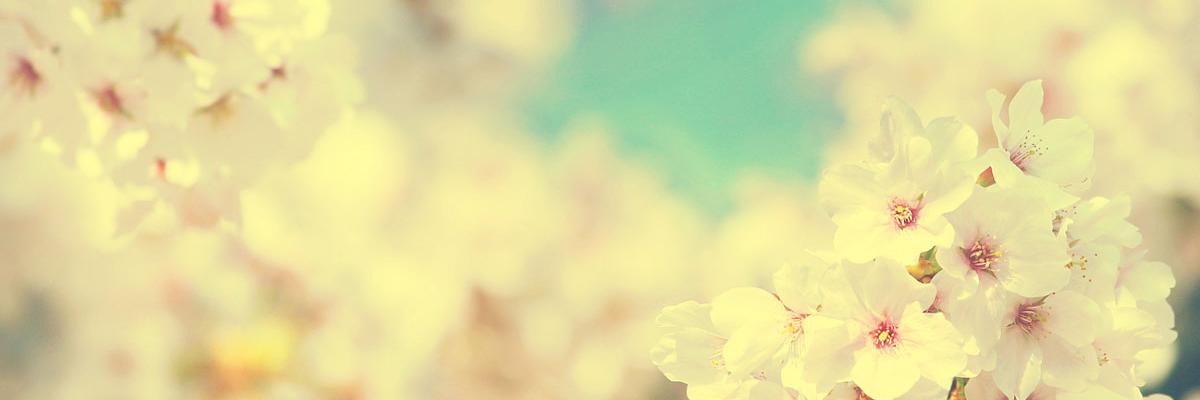 SBergreen's profile banner image