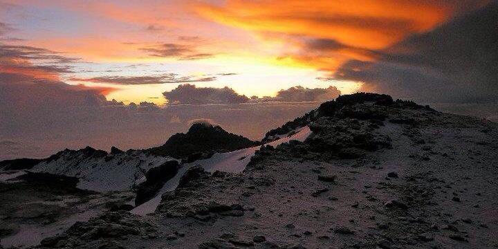 Dr. Leslie Spry banner