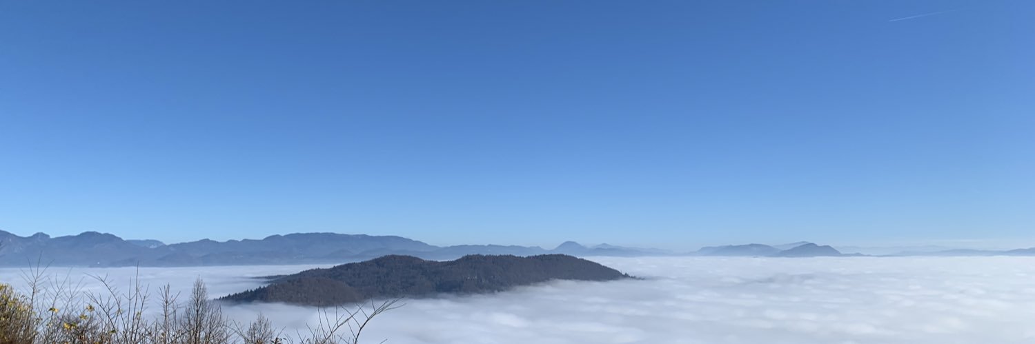 igorajdisek's profile banner image