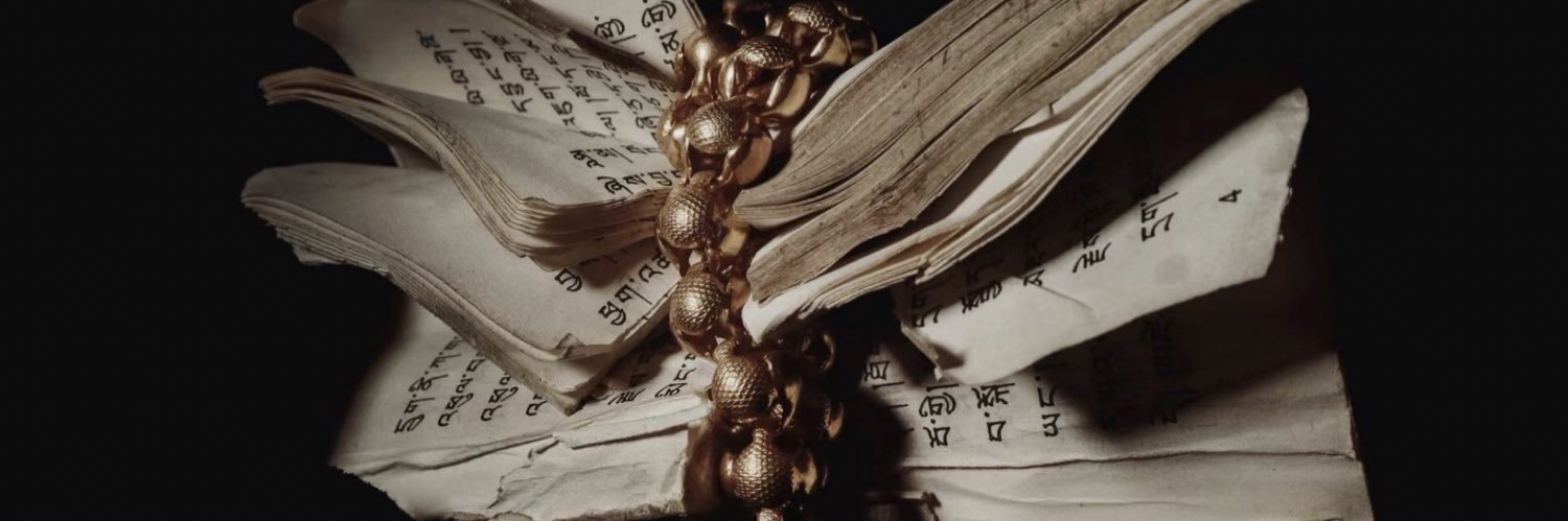 伟乐🦦 banner
