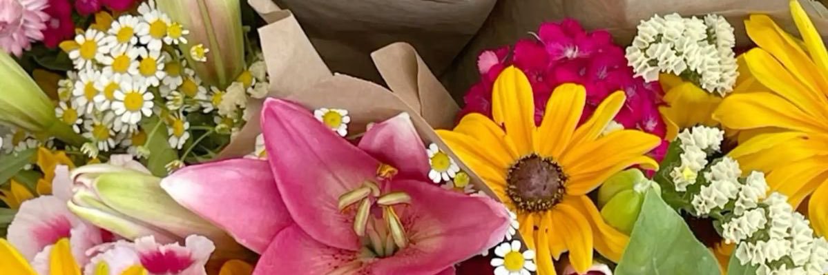 moreofashtynn's profile banner image