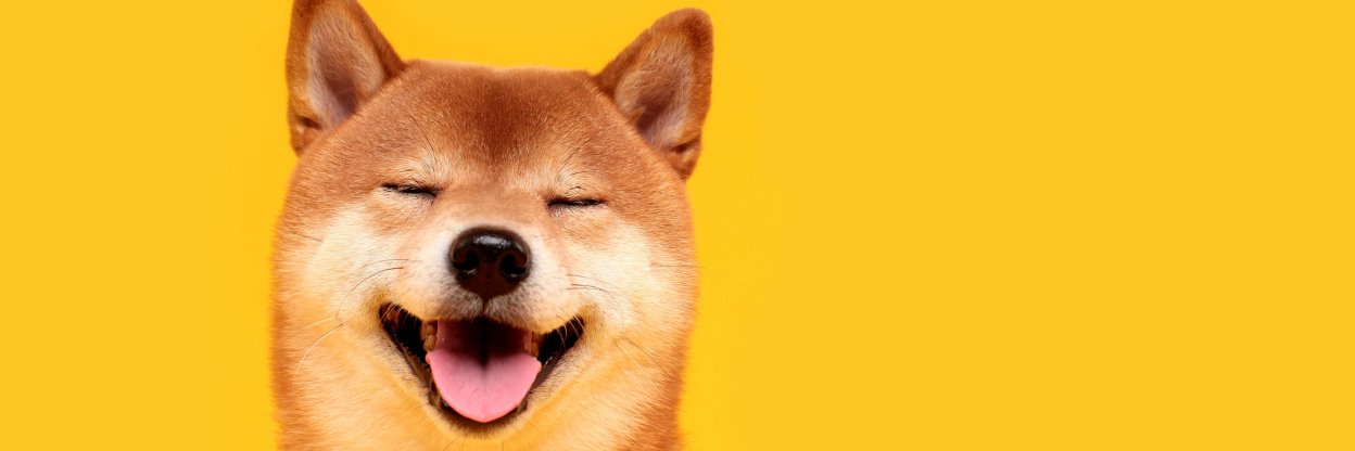 Dogecoin Millionaire banner